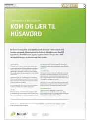 Síða 3