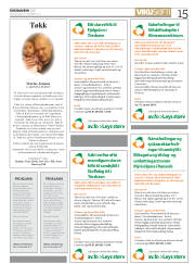Síða 15