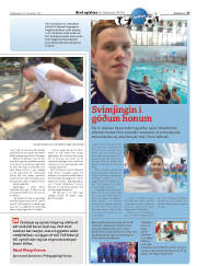 Síða 43