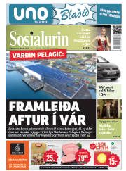 Síða 1