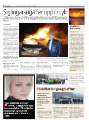 Síða 8