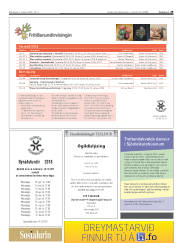 Síða 29
