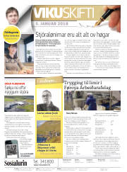 Síða 2