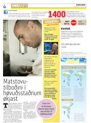 Síða 4