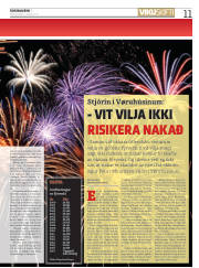 Síða 11
