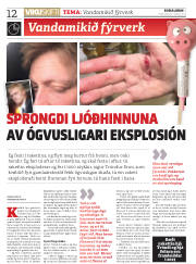 Síða 12