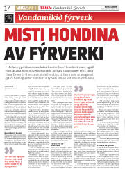 Síða 14