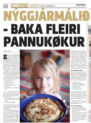 Síða 16