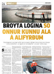 Síða 24