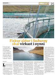 Síða 25
