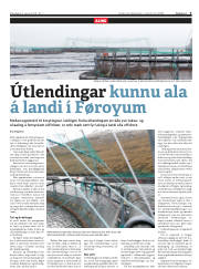 Síða 3