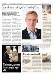 Síða 8