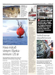 Síða 9