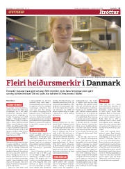 Síða 13