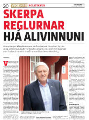 Síða 20