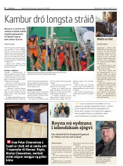 Síða 8
