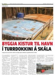 Síða 4