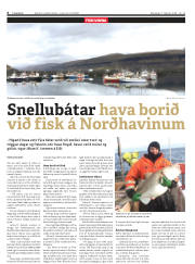 Síða 6