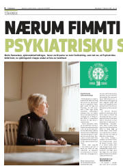 Síða 8