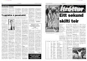 Síða 6