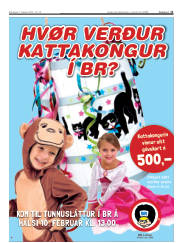 Síða 11