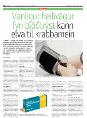 Síða 18