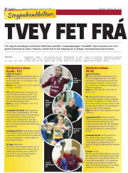 Síða 30