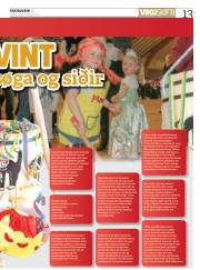 Síða 13