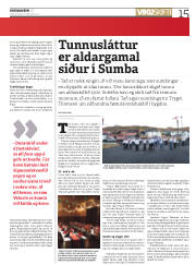 Síða 15