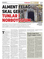 Síða 17