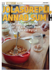 Síða 22