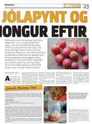 Síða 23