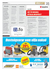 Síða 25