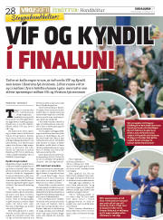 Síða 28