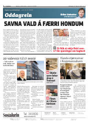 Síða 2