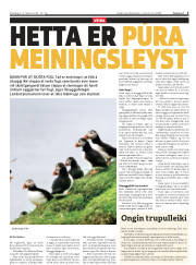 Síða 3