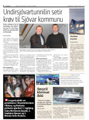 Síða 8