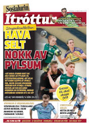 Síða 24