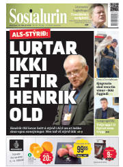 Síða 1