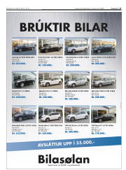 Síða 17