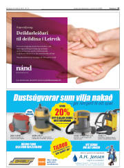 Síða 27