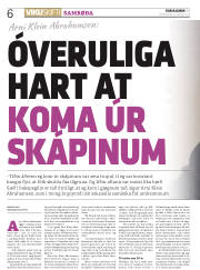 Síða 6