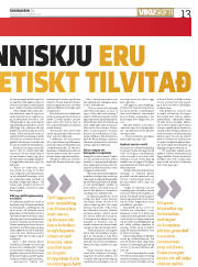 Síða 13