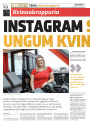 Síða 14