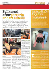 Síða 17