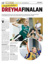 Síða 28