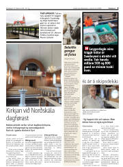 Síða 9