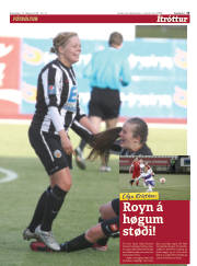 Síða 15