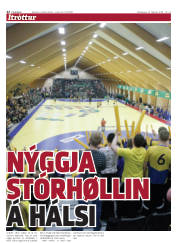 Síða 22
