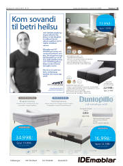 Síða 11